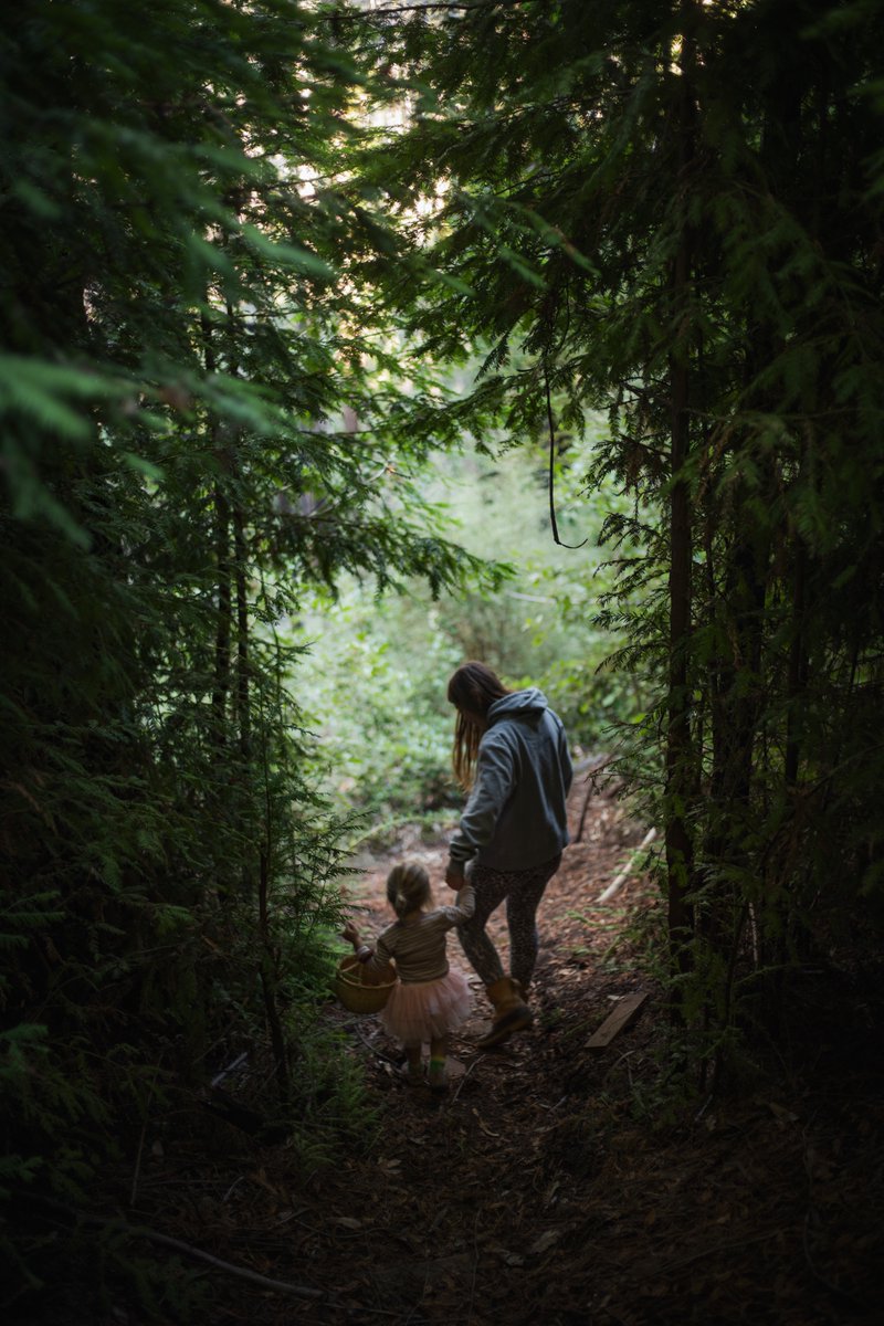 Sebastiaan de With tweet media