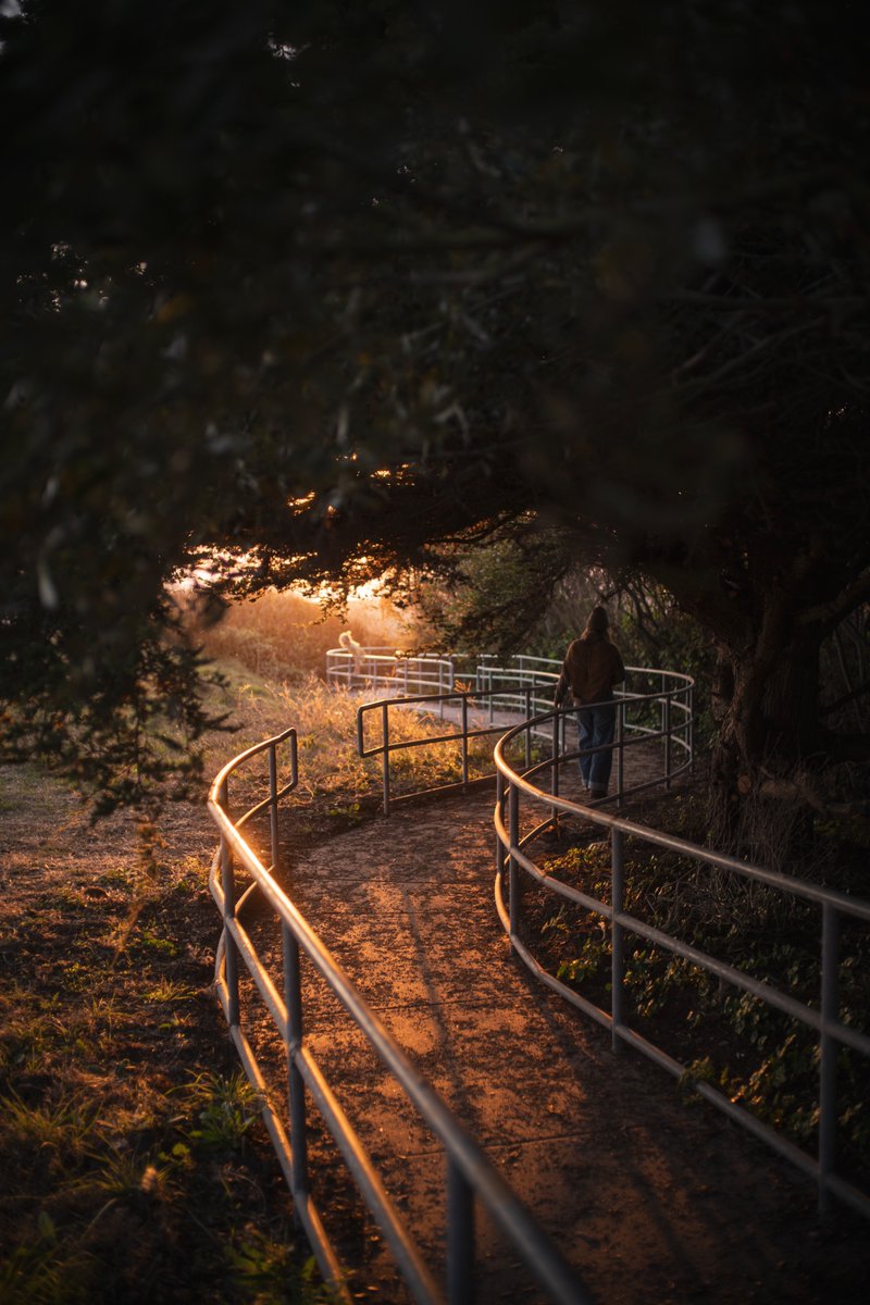 Sebastiaan de With tweet media