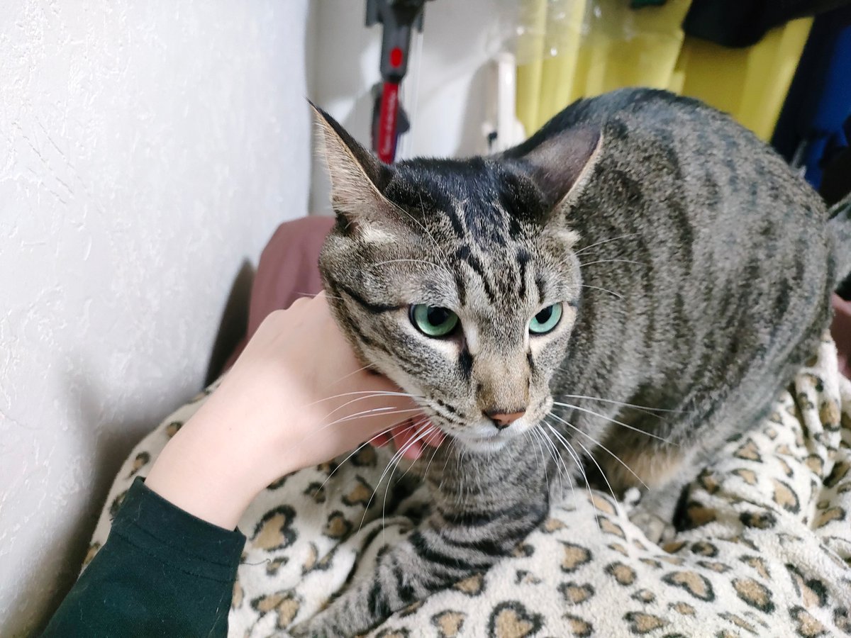 まりっぺ (@marippe_sann) / Posts / X