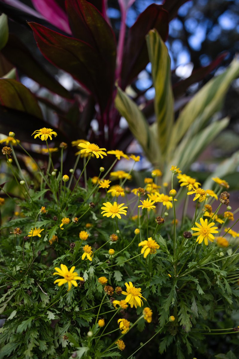 UF Facilities Services tweet media