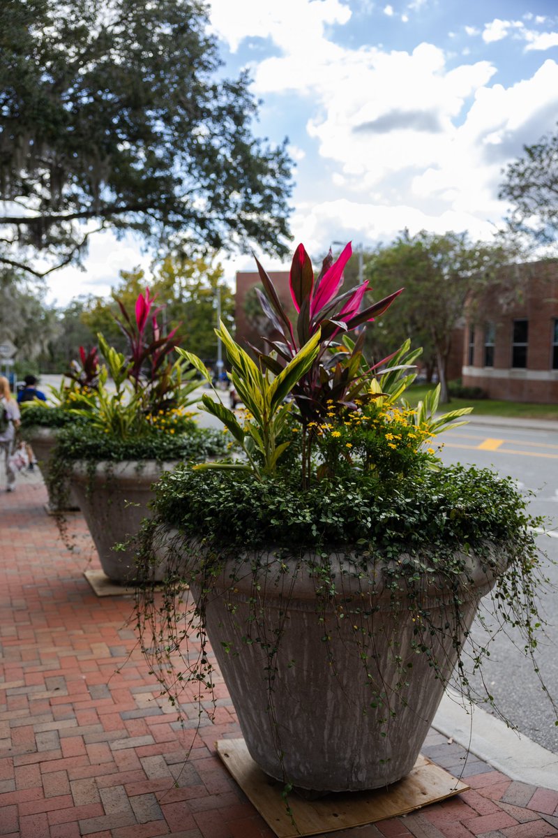 UF Facilities Services tweet media