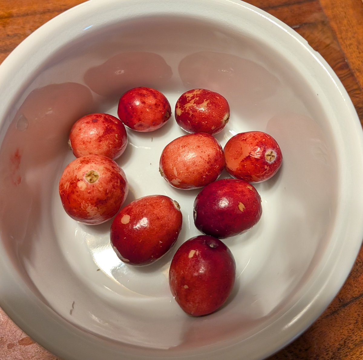 Does anyone else eat raw cranberries? Or is that just me?