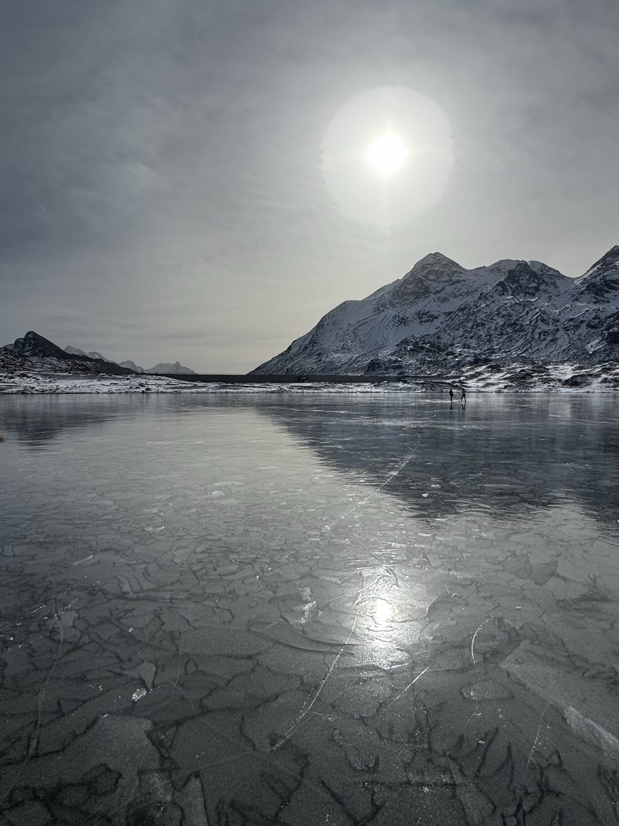 lupostmoritz's tweet photo. Art in Ice 14/11/25 https://t.co/XvNUe02Dg0
