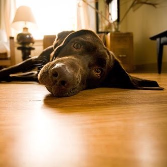 #НовыйАватар