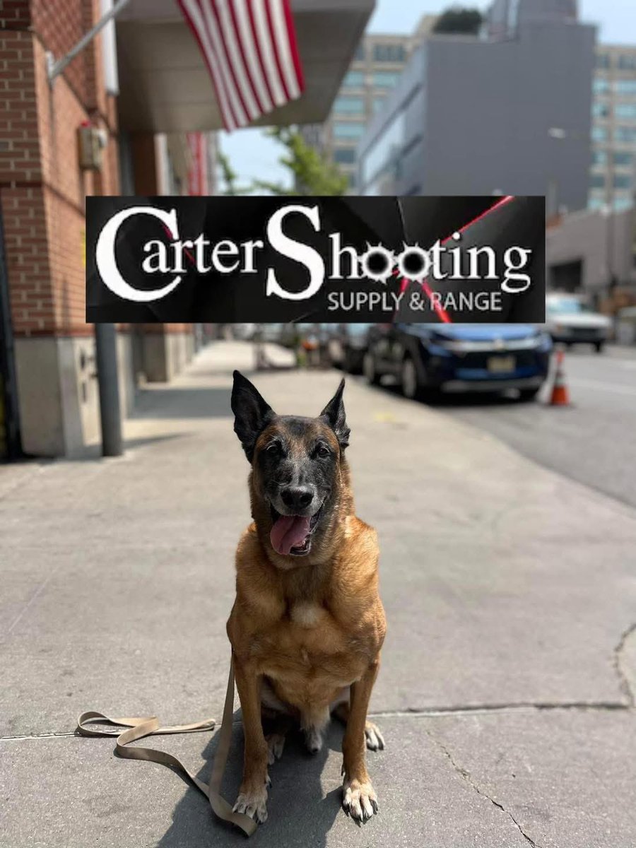 ProjectK9Hero's tweet image. A special thank you to Carter Shooting Supply in Chattanooga for partnering with Project K-9 Hero as a donor for our 2026 Performers for Paws Auction. 🐾Their commitment to quality and safety in shooting supplies is helping us honor our retired K-9 Heroes.
cartershootingsupply.com