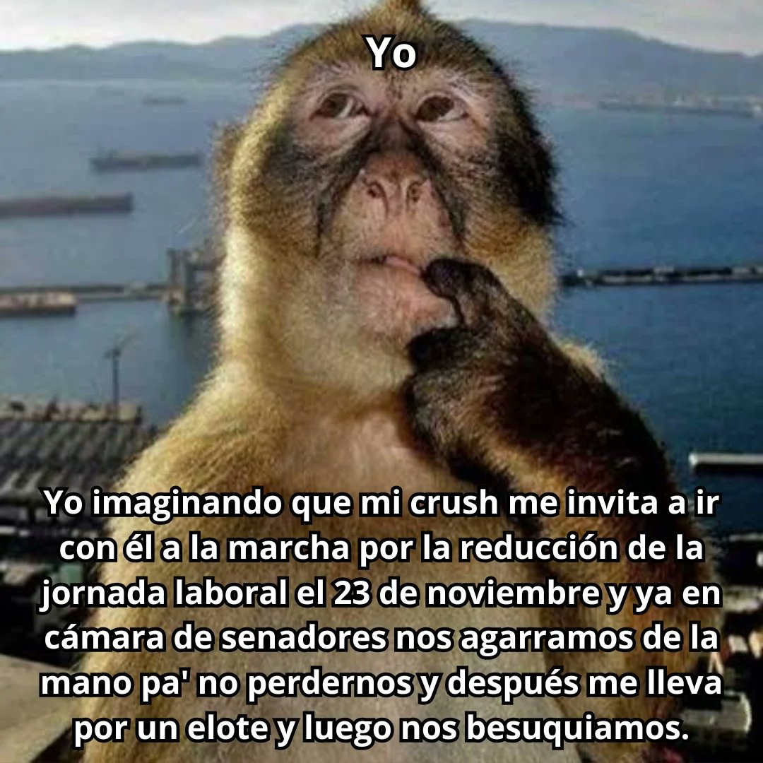 Kien para
#40horasYA