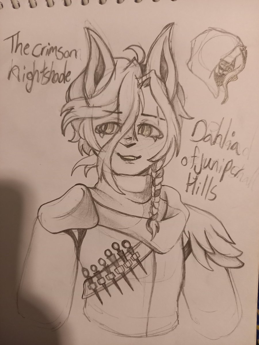 Kai_Birb's tweet photo. Dnd character I made for a one-shot last week https://t.co/v9bgZSZkuX