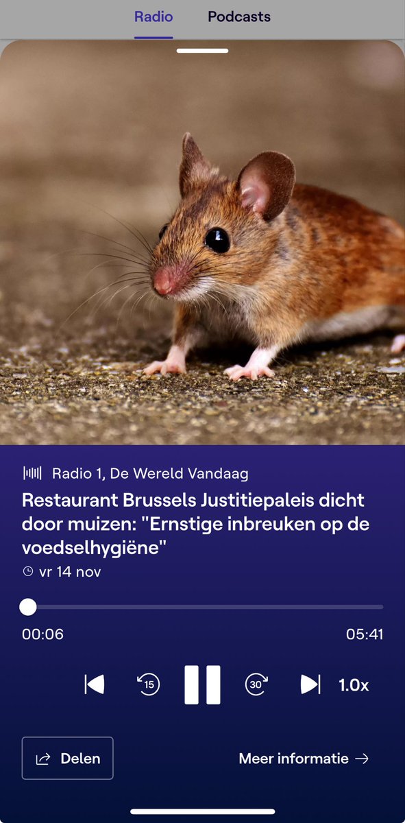 What the phoque 🦭 tweet media