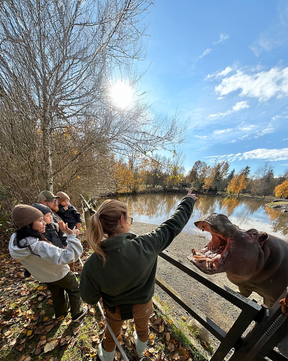 vancouverzoo tweet picture