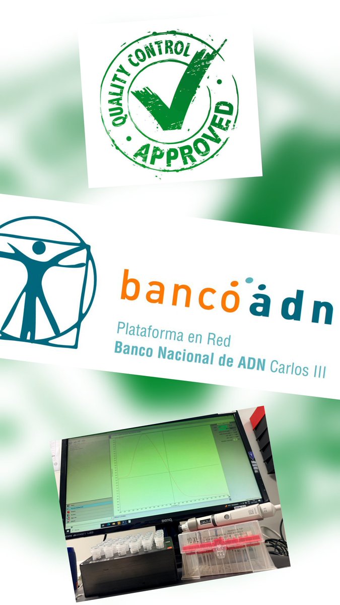 BiobancoLaFe's tweet image. 🏆Programa de intercomparación @BancoNac_ADN‼️

🧬🧬 Extracción #ADN ➡️ 💪😉 SUPERADO‼️

#ControlCalidad #SomosLaFe #Excelencia