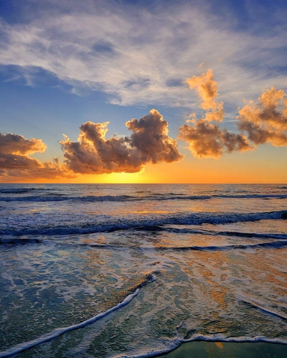 Maria Lea tweet media