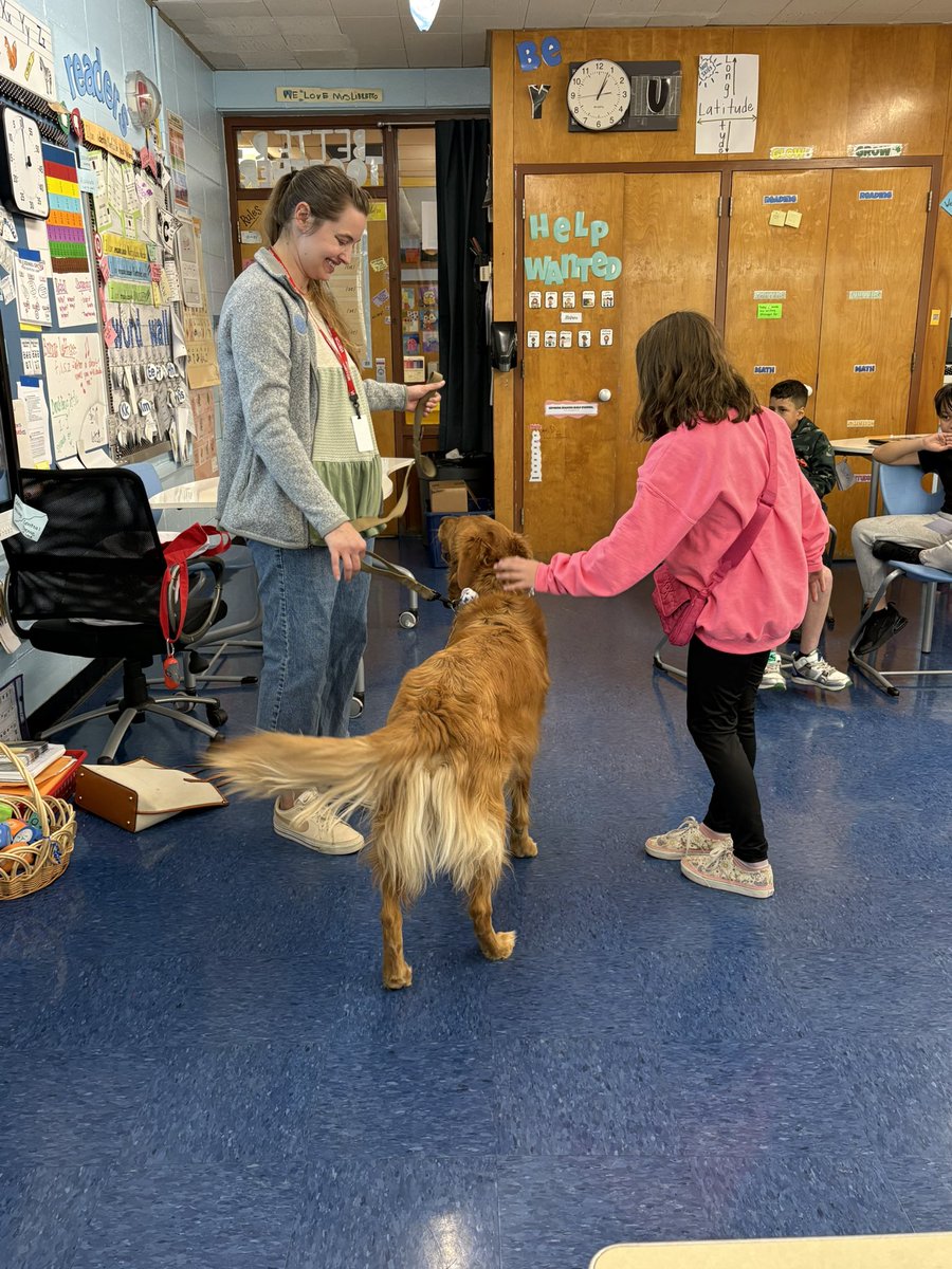 Elisa LiBretto tweet media