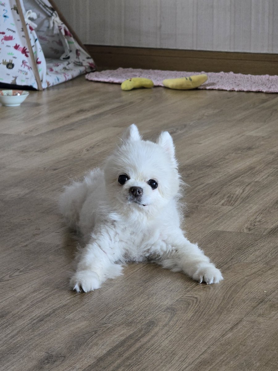 yanjii's tweet photo. 아직도 아기같은 우리 바니🩷
사랑해 ~ 언니가 더 노력할게 https://t.co/8OLKuJDxEz