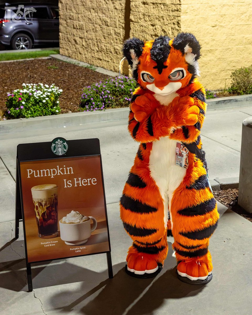 I’m not a pumpkin! 🎃 😠 
#fursuitfriday

📸: tec .photos on IG