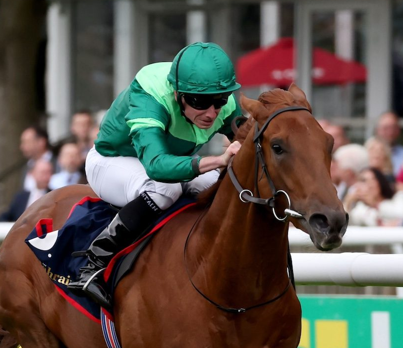 Group 1-winning Whistlejacket has been sold and will stand his first year at Haras de Grandcamp in France at a fee of €14,000