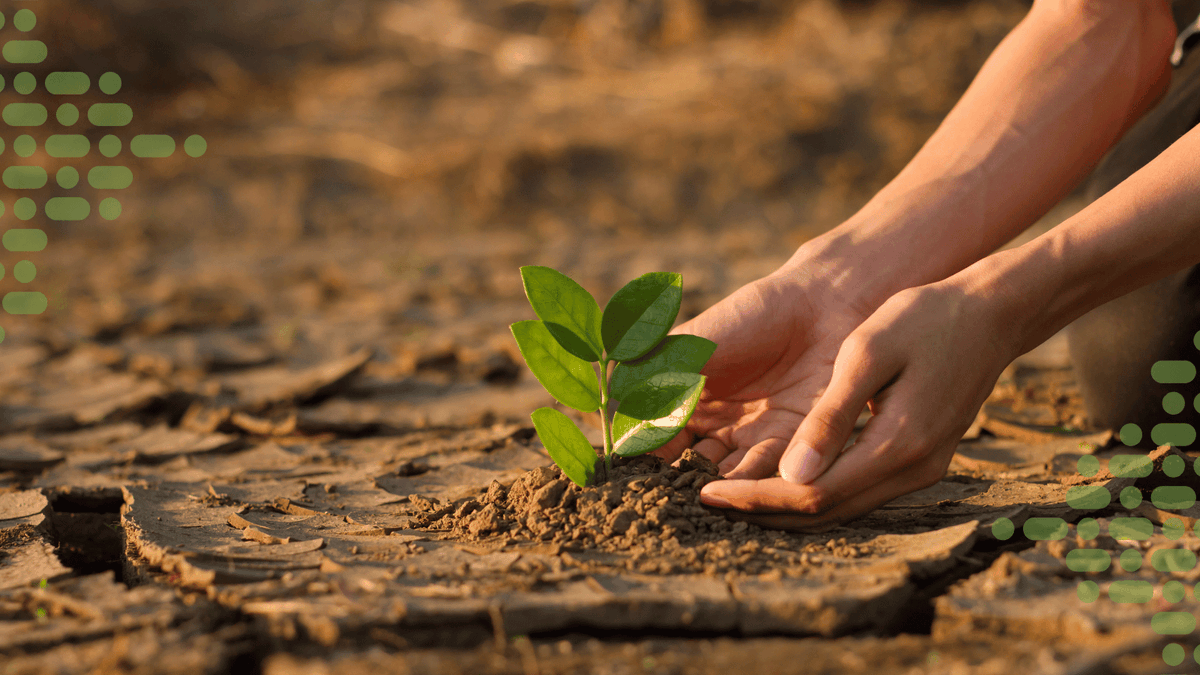 theASE's tweet photo. π ASE Climate Science CPD Series!
Gain confidence teaching about climate change, explore key science concepts, and learn how to support students with climate anxiety.
π Book now: https://t.co/wlzO133skK
#ASECommunity #ClimateEducation https://t.co/W1BQ9Pdbbx