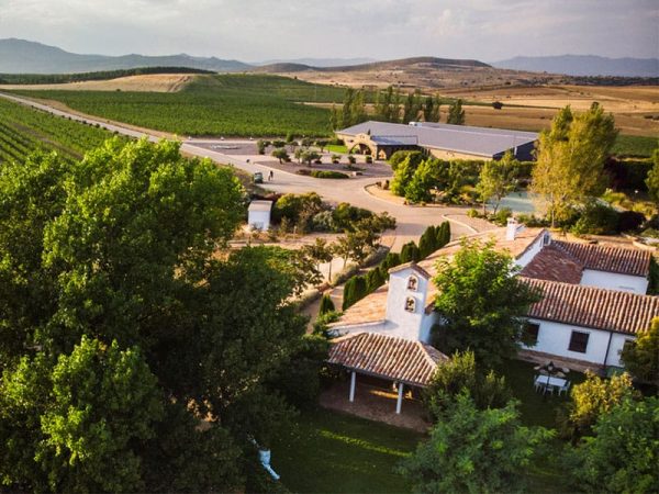 Gastroactivity tweet media