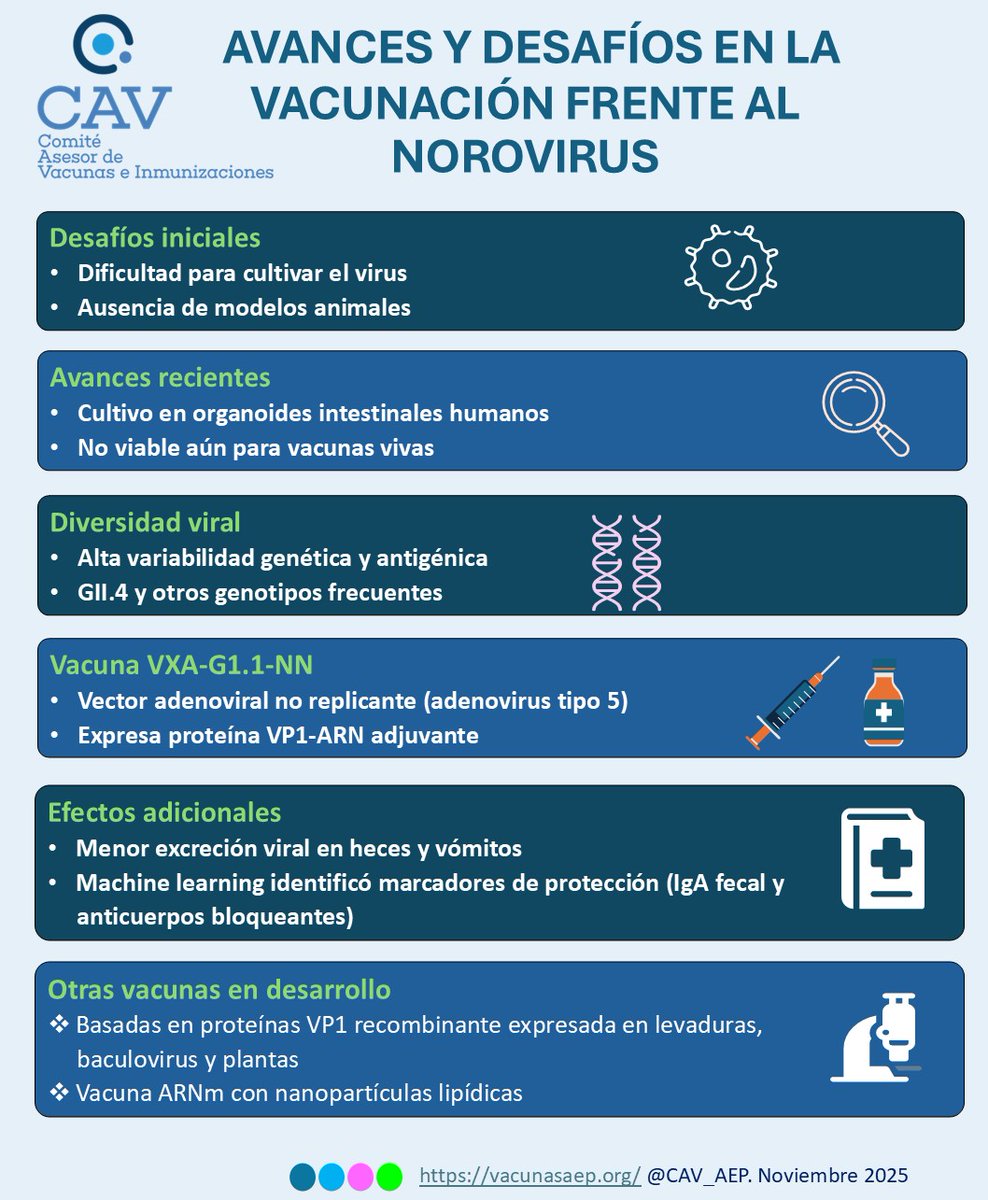 Perspectivas actuales en el desarrollo de vacunas frente al norovirus. Dos ensayos clínicos recientes han evaluado una vacuna oral frente a norovirus elaborada con la proteína VP1 de la cápside viral, formulada como una tableta oral termoestable.
vacunasaep.org/profesionales/…