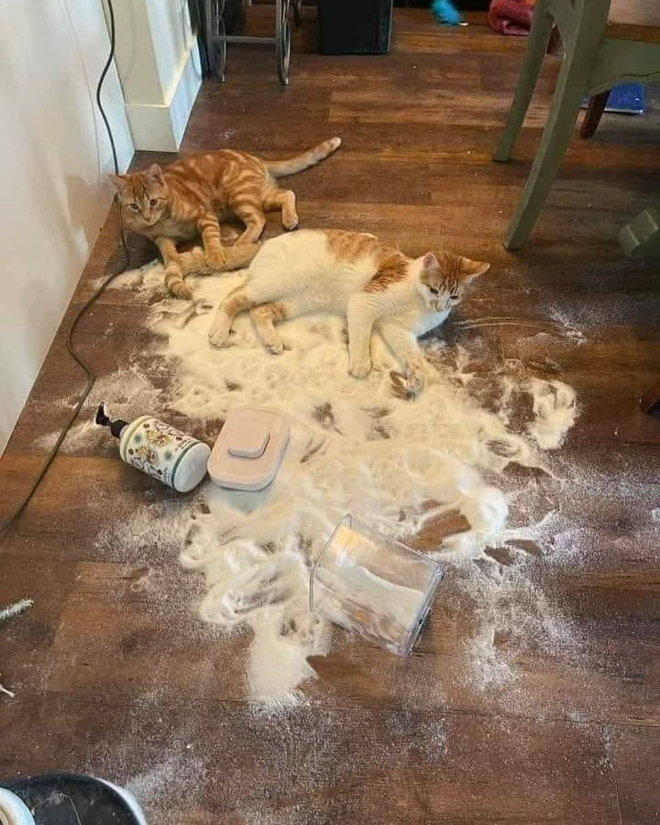 They tried baking you a cake.