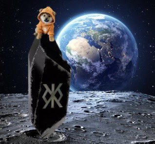 webiz101🧡$DOG tweet media