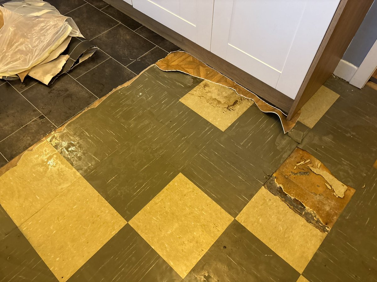 TheTattooedHeadteacher Deputy CEO 🏳️🌈✊🏾she/her tweet media