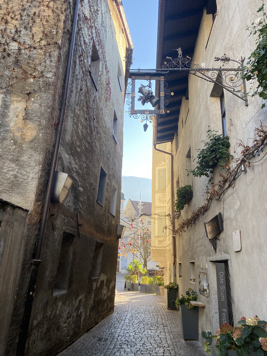 Sonia Zuccaro tweet media