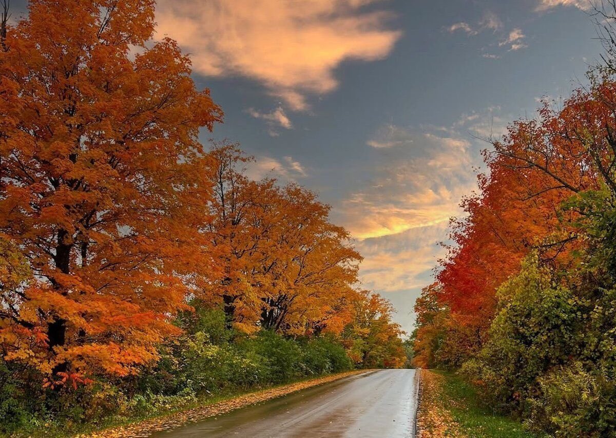 harmitwt's tweet photo. Objects in pictures are more beautiful than they appear.

Fall 2025, don’t ever leave me. 🚗🌅🍁

Fall doesn’t care about your plans, it just shows up and heals everything. 🧡

#FallVibes #Autumn2025 #NatureHeals #Canada #USAFall #Fallaesthetic #GoldenHour #LeafPeeping https://t.co/tqnbrhiJ3r