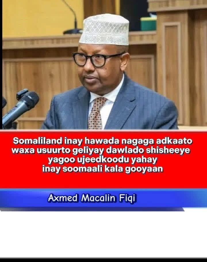 Awliyo1911's tweet photo. 🚨🚨Breakin:
ugu danbayn Mr. Xuub-Caaro 🕸️🕷️waa qirtay in -#Somaliland kaga adkaatay #hawada. https://t.co/bzvOZiJGj1