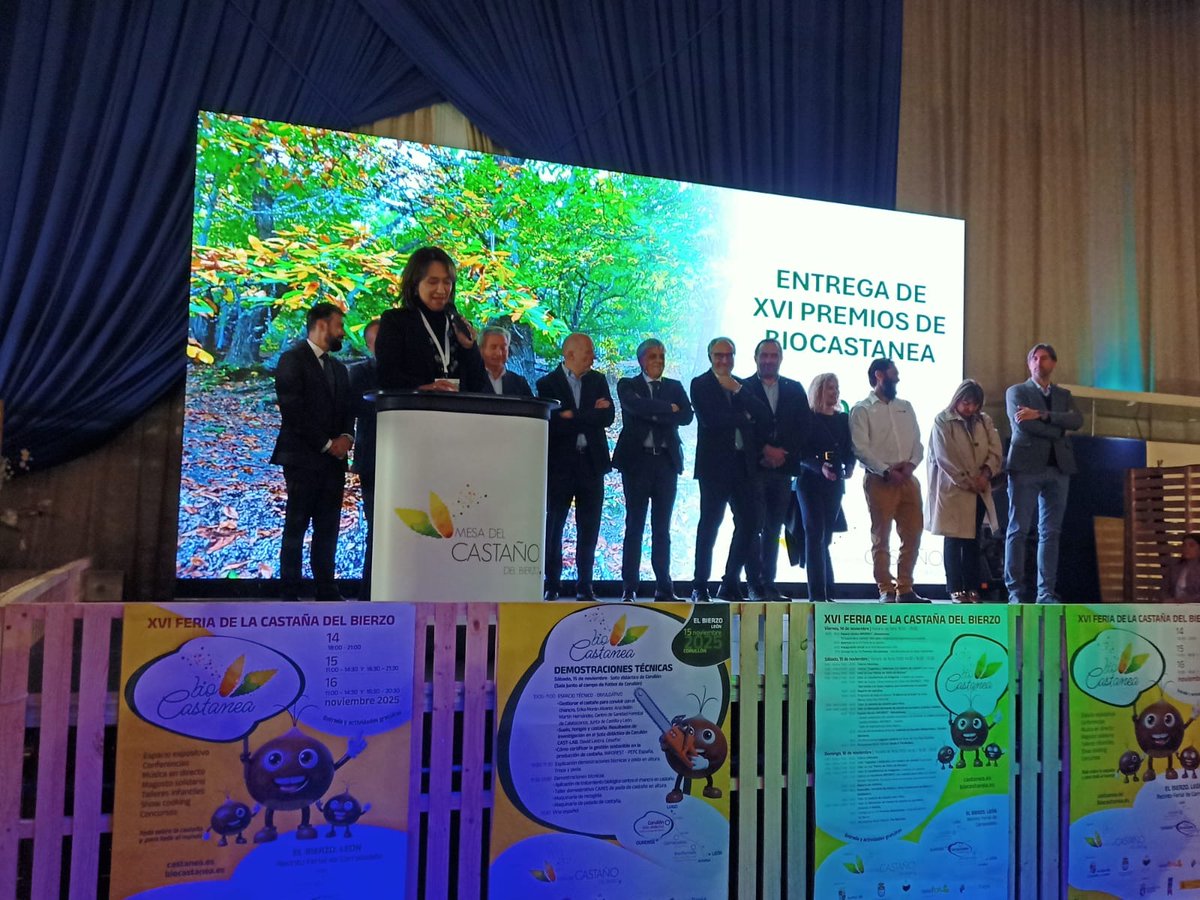 Biocastanea 2025 tweet media