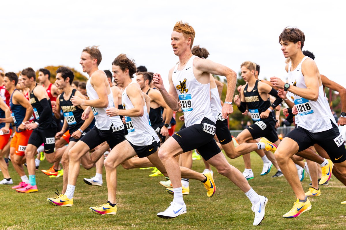 Hawkeyes End Season With Three Season Bests at NCAA Midwest Regional 🐤

📒 bit.ly/4hXpxq8