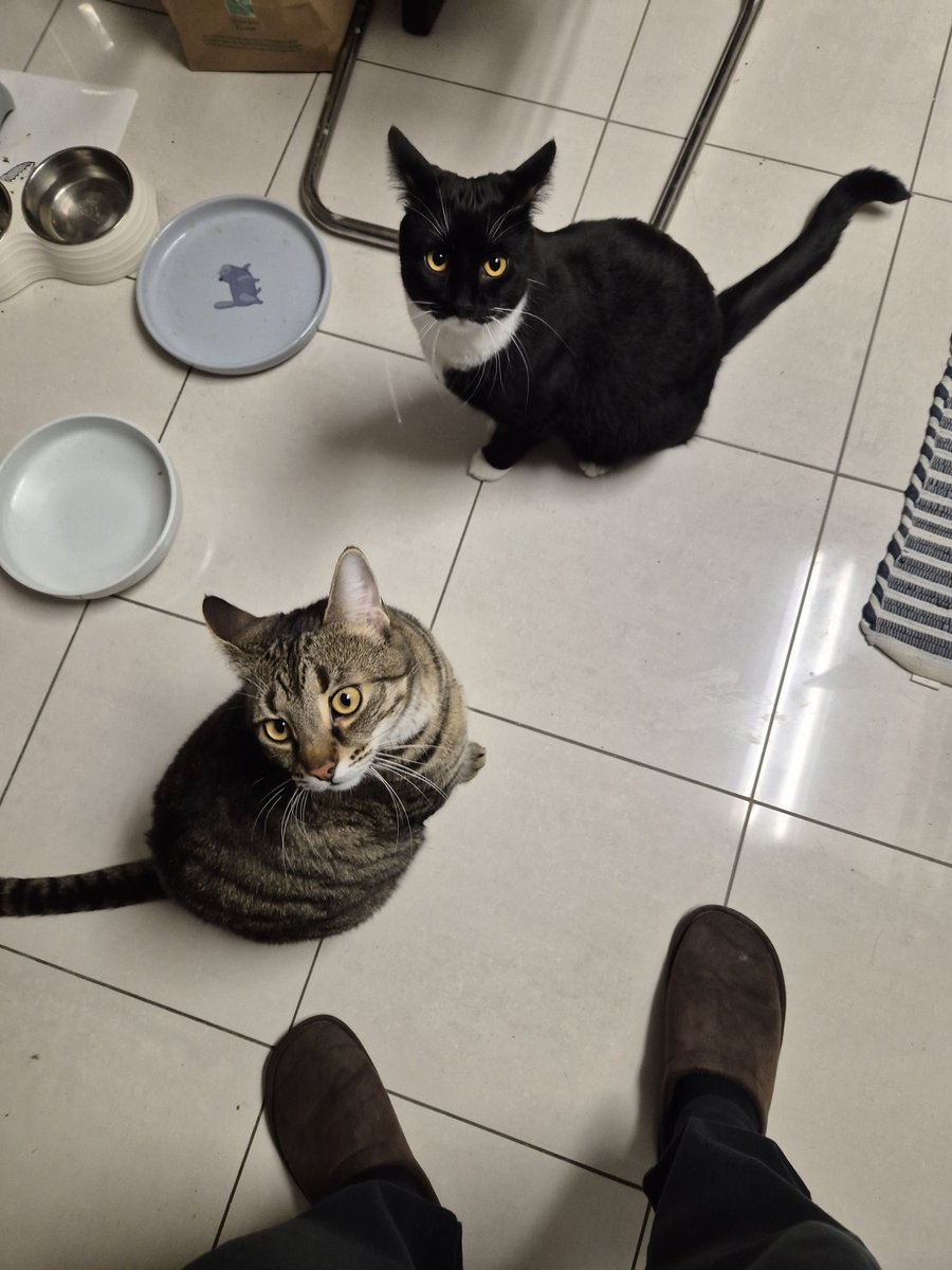 liquid_logic2's tweet image. 