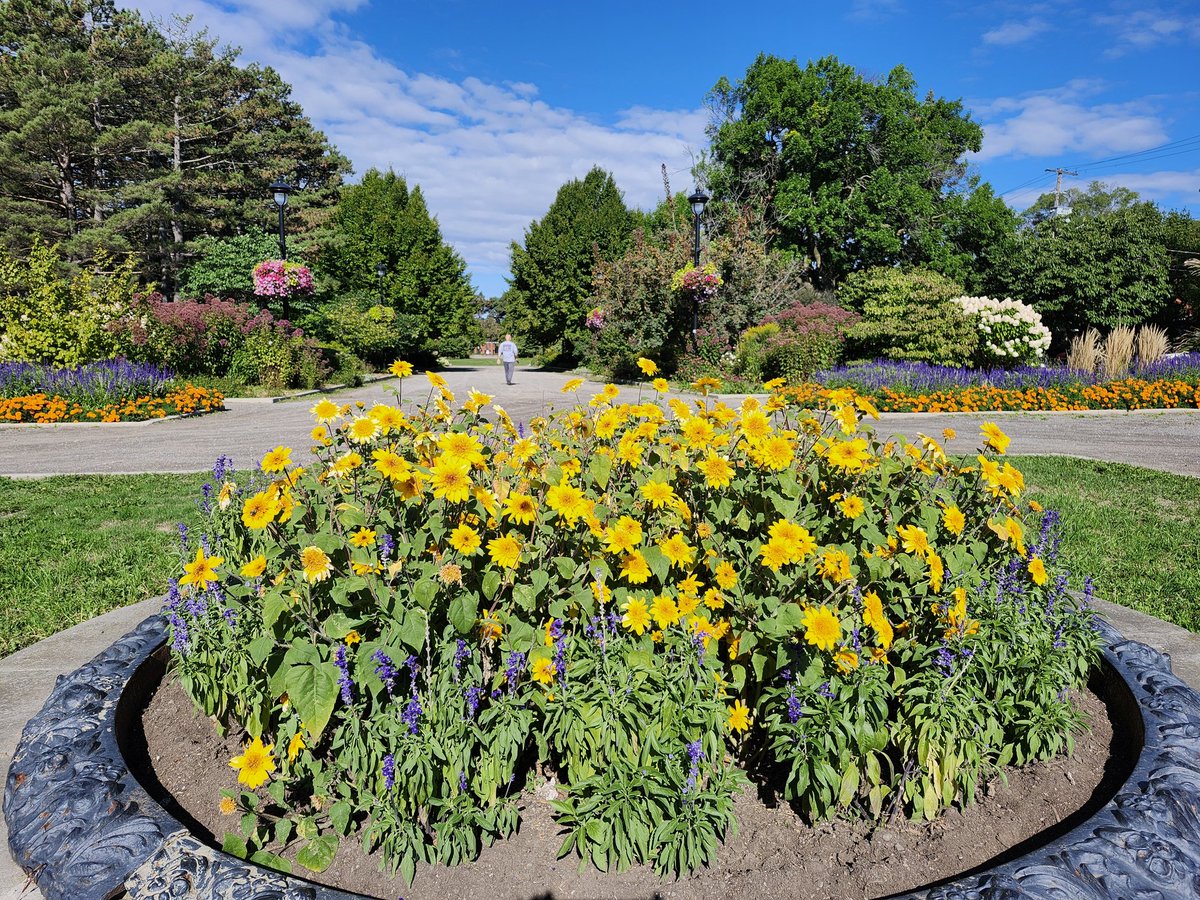 Sharon Tanyi tweet media