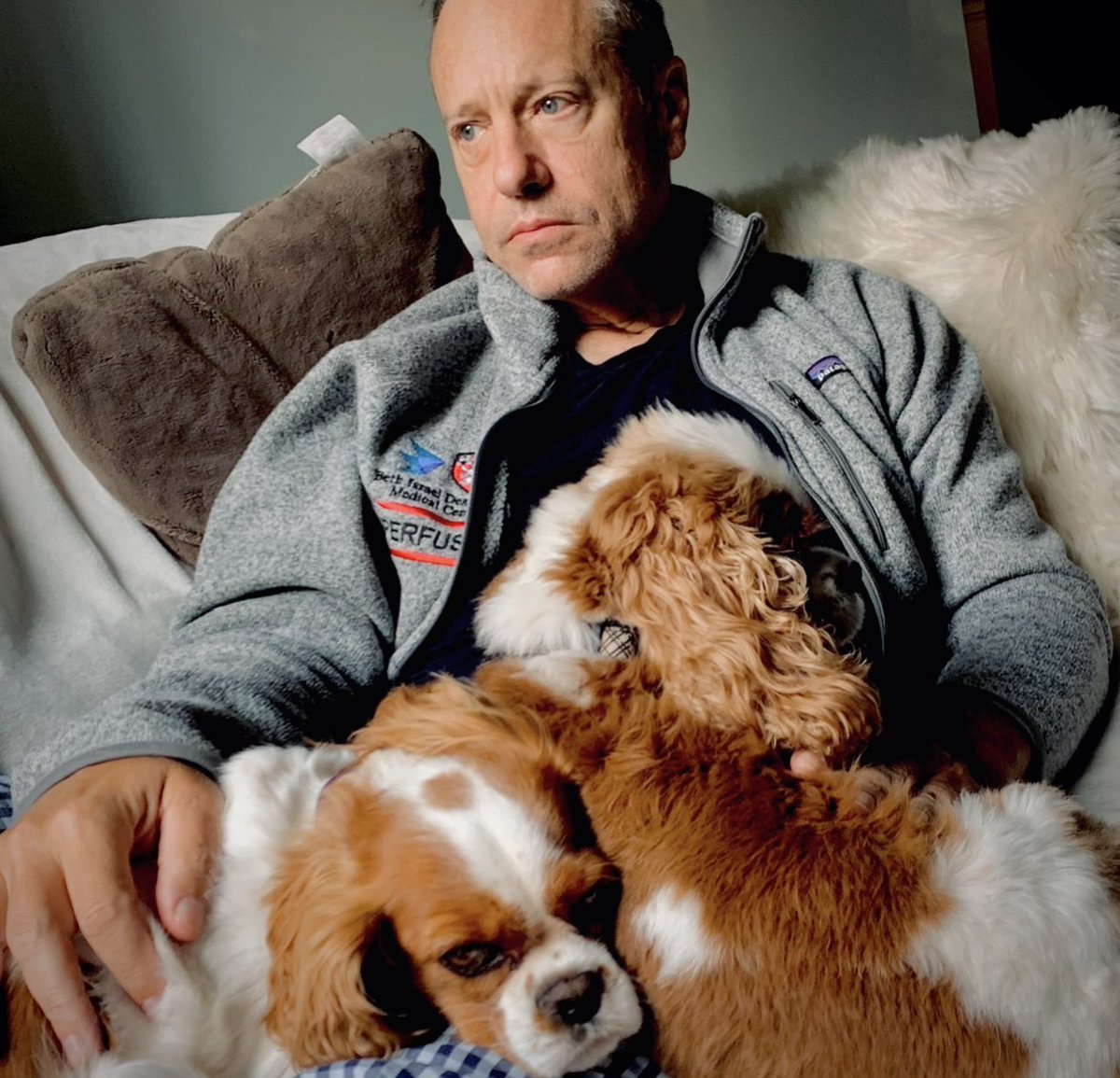 C. Michael Gibson MD tweet media