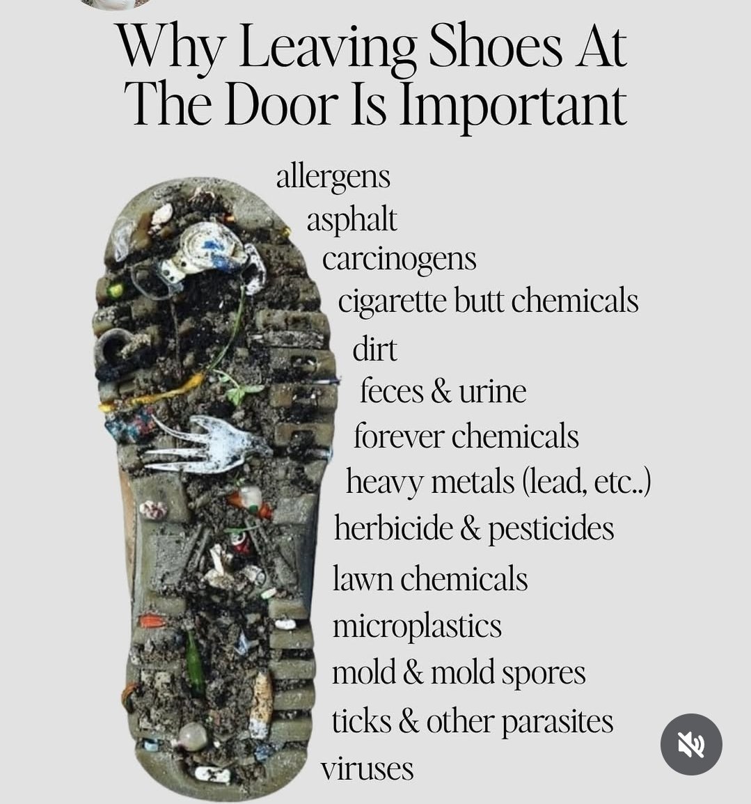 Colette Freiberg (@colettefreiberg) on Twitter photo 