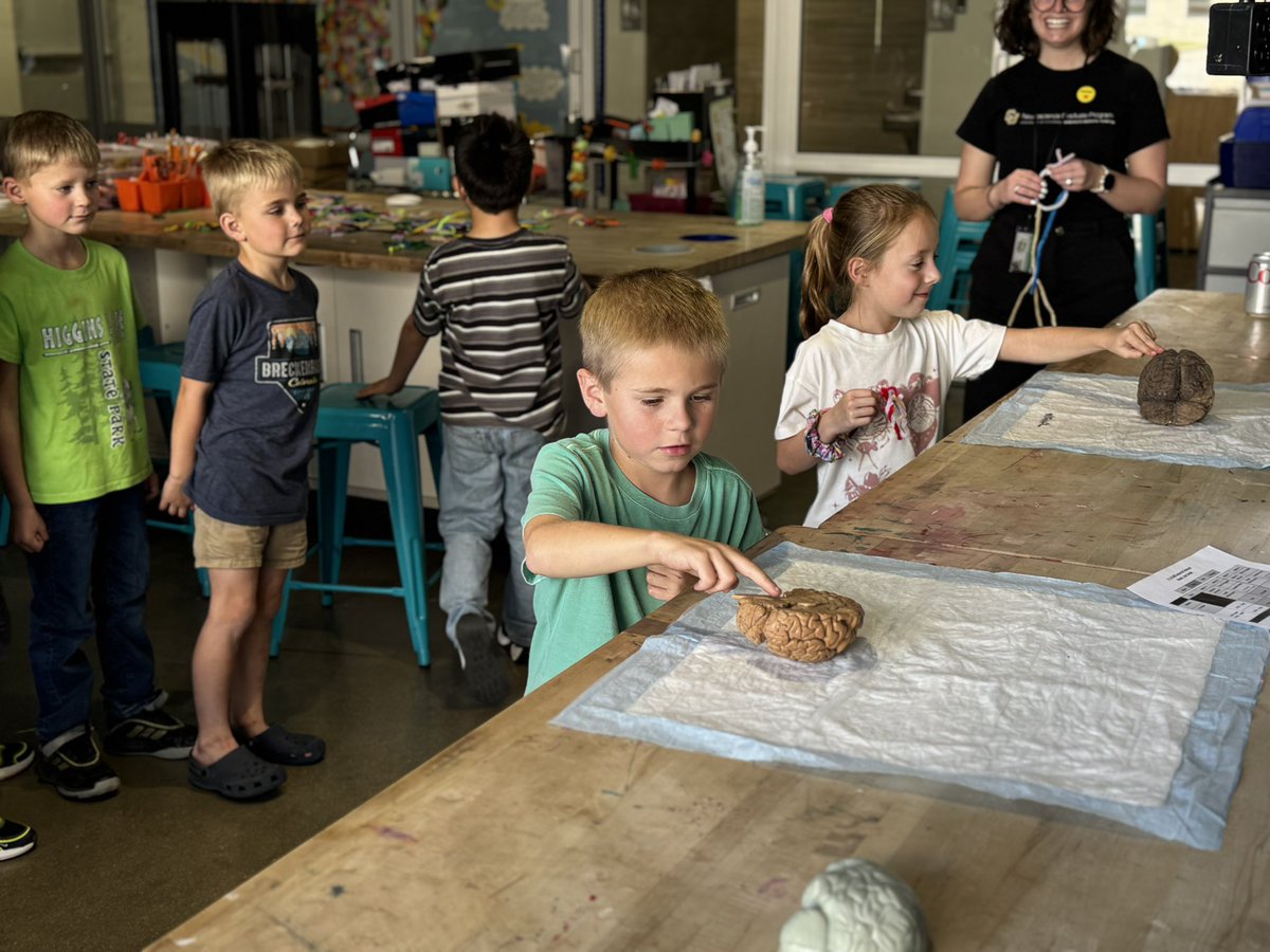 SHPK8's tweet photo. Thrilled to have the Anschutz Neuroscience Program working with our K–2 students! Students are learning about brain plasticity, the parts and functions of the brain, and even modeling neurons—a fantastic hands-on science experience! #StVrainStorm @SVVSDsupt @DPerfettiDeany https://t.co/M1nKcGXh2K