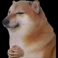 DudeKork tweet media