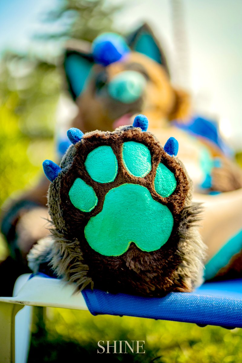 TraceHyena's tweet image. It‘s weekend, so fokus on the important things!
Happy #fursuitfriday 

📷 : @ShinyMcWoofWoof
🧵 : @FursuitParade 

#furry #fursuit  #FursuitEveryday #Hyena #paws