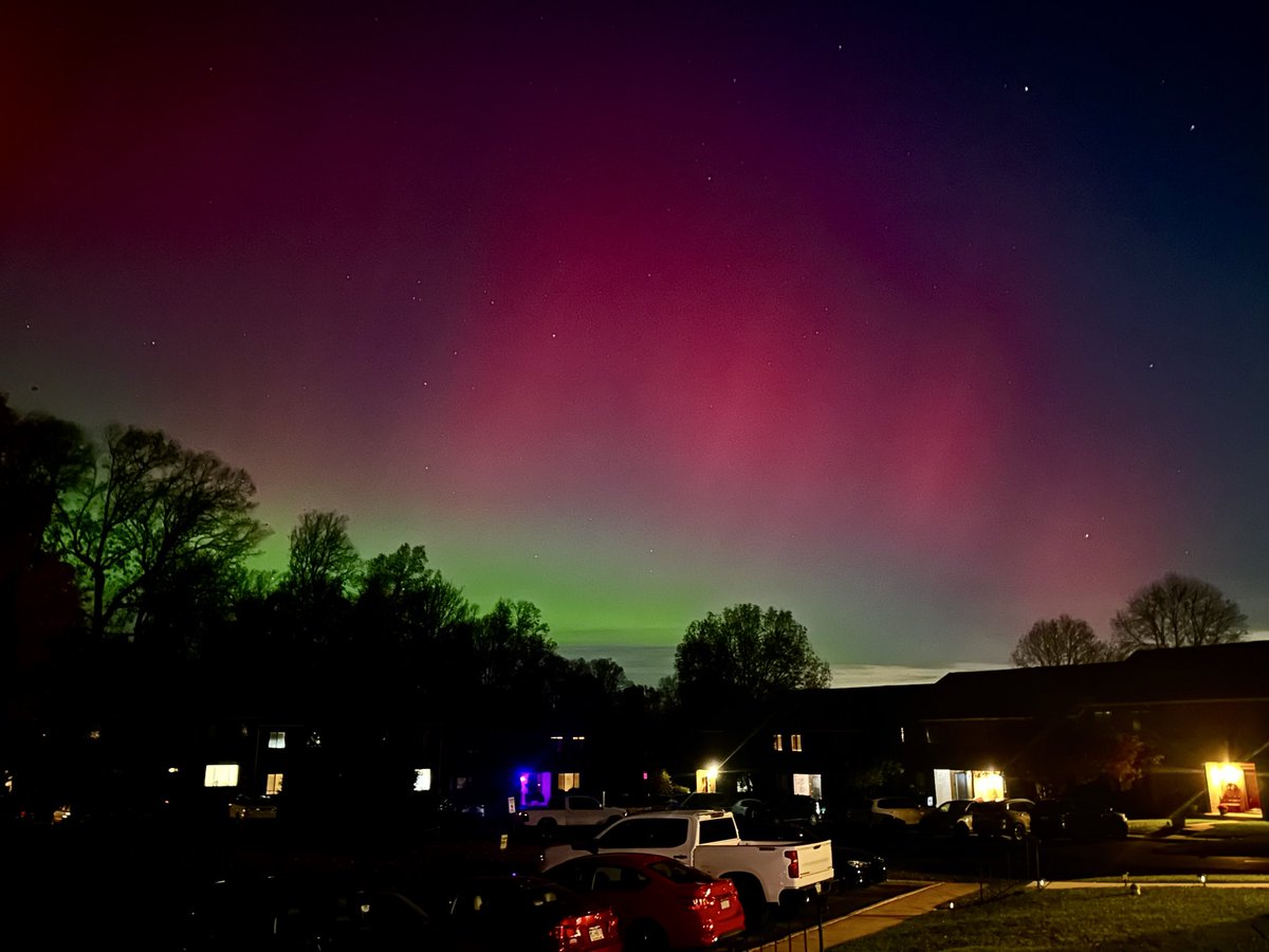 Amber McCarthy tweet media