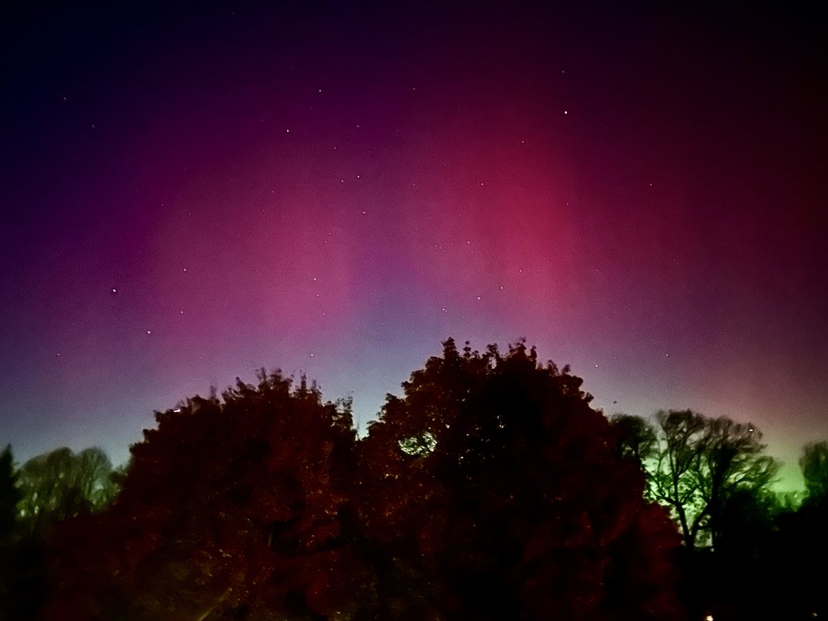 Amber McCarthy tweet media