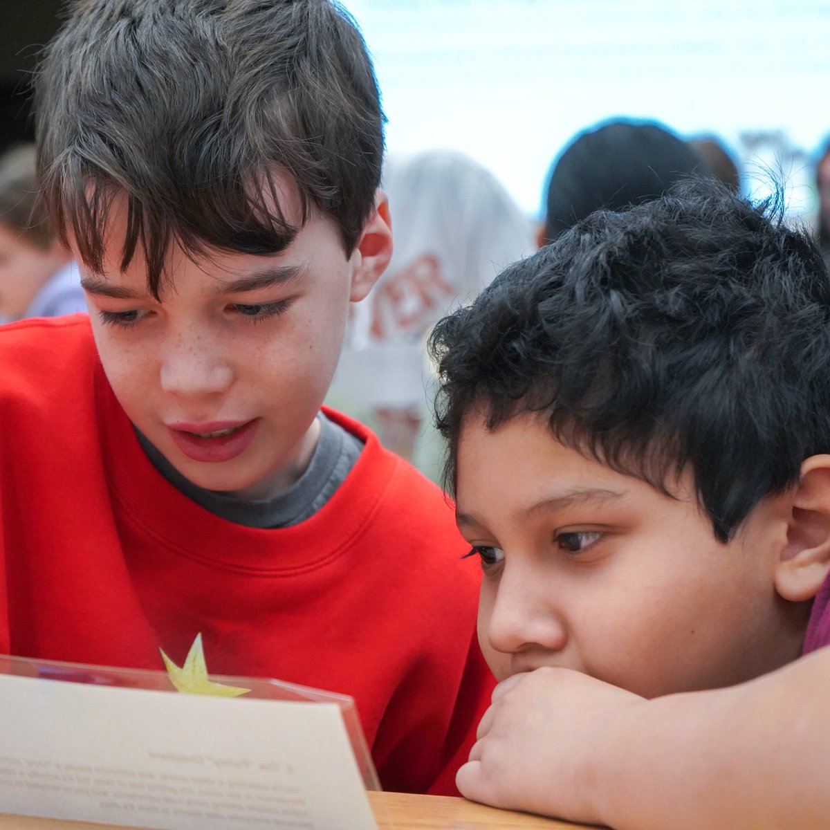 ccsdschools's tweet image. LP fifth graders focused on digital citizenship and online safety in their latest bi-monthly leadership workshop. In response to an increase in large group texts, #ClarkstownCSD students explored what it means to be responsible and potential consequences of poor online choices.