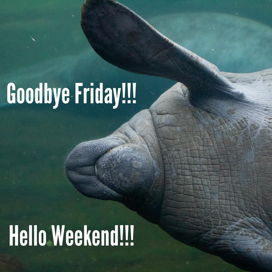 VOGurus's tweet image. #goodbyefriday #helloweekend #weekend #chill