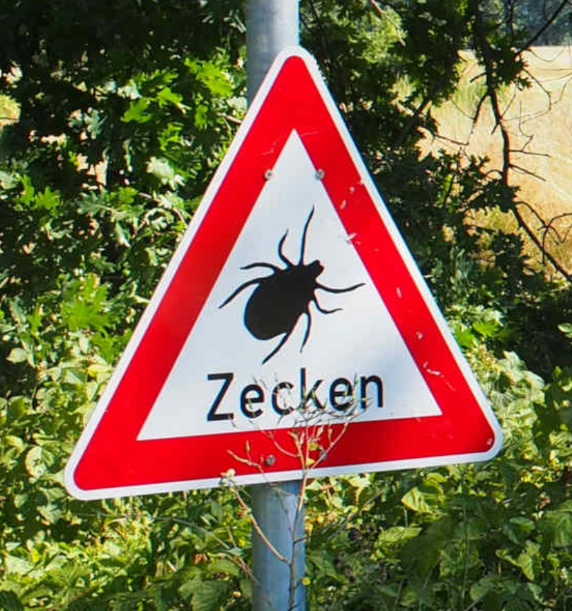 Jannik 🐿️ tweet media