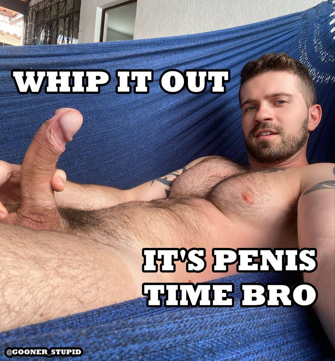 ProudMale tweet media