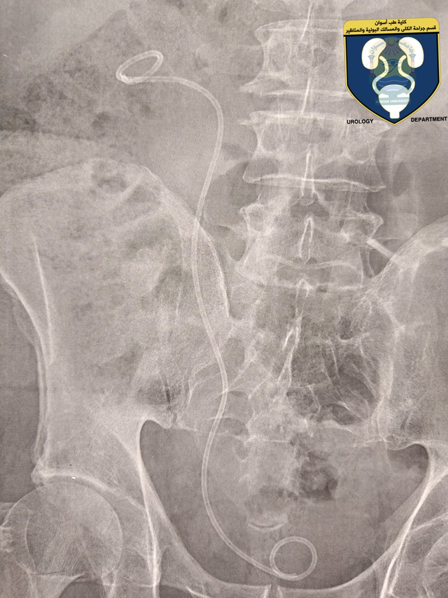 Dr-Ahmed Desoki tweet media