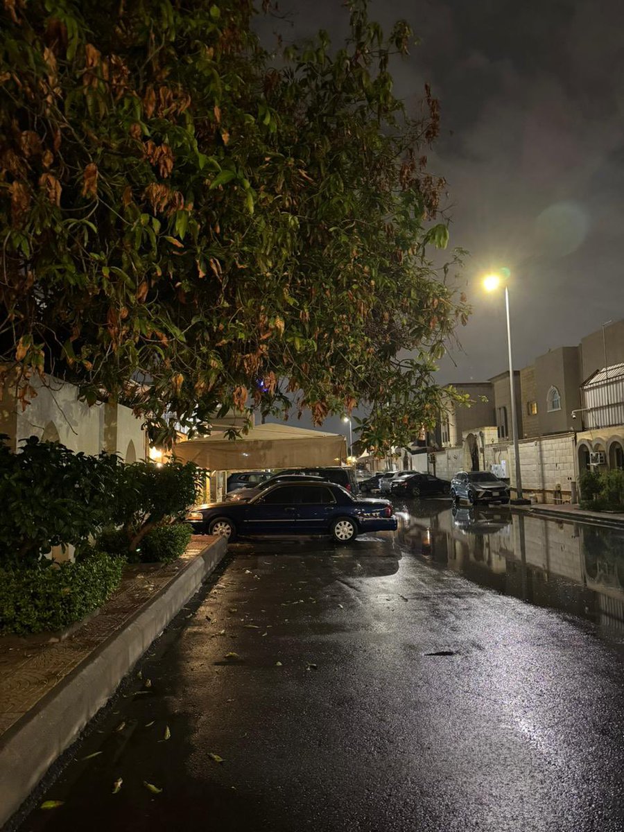 ليلة خريف ماطرة أنعشت الجو وطهرت الأرض وغسلت الأشجار وطيبت الخواطر 🌧️