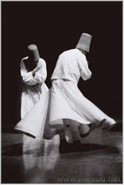 "لم آتِ لأُعطيك شيئًا جديدًا،
لقد أتيتُ لأُخرِج جمالًا
لم تكن تعلم أنه يسكنُ فيك."

— جلالُ الدينِ الرومي