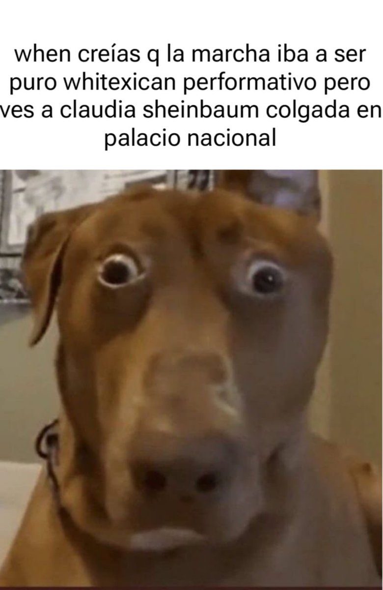 That feeling when you live in Mexico tweet media