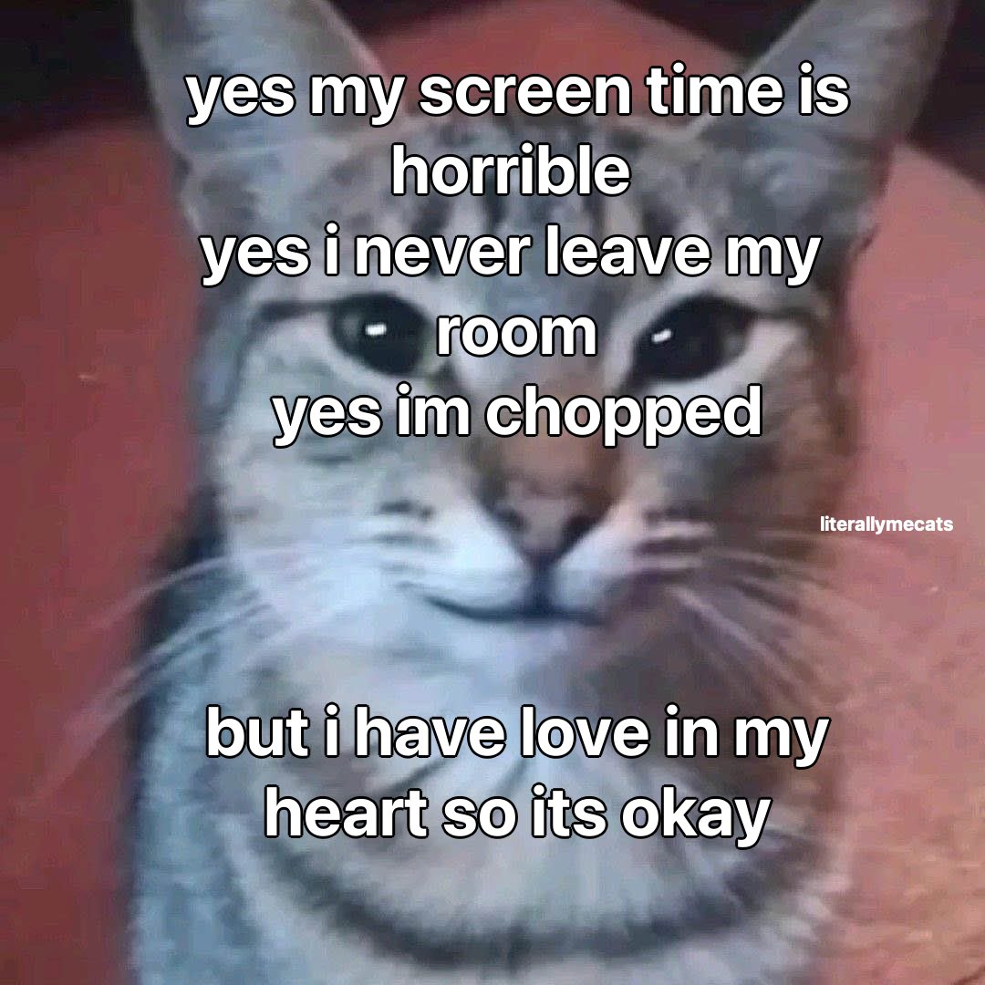 LiterallyMeCats (@literallymecats) on Twitter photo 