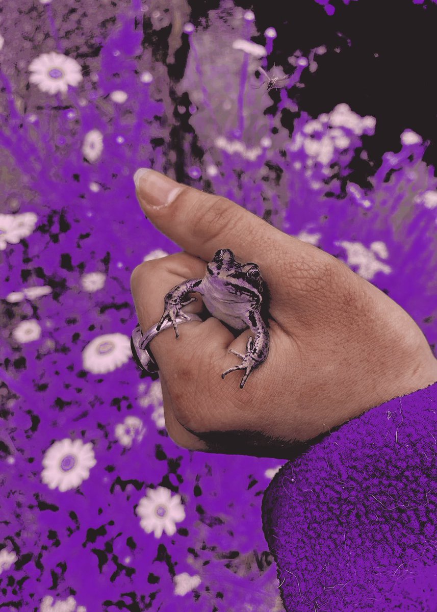 ‎ ‍‎˖ 𑣿 ݁ ‍ 𝗟𝗨𝗖𝗬⁎ tweet media