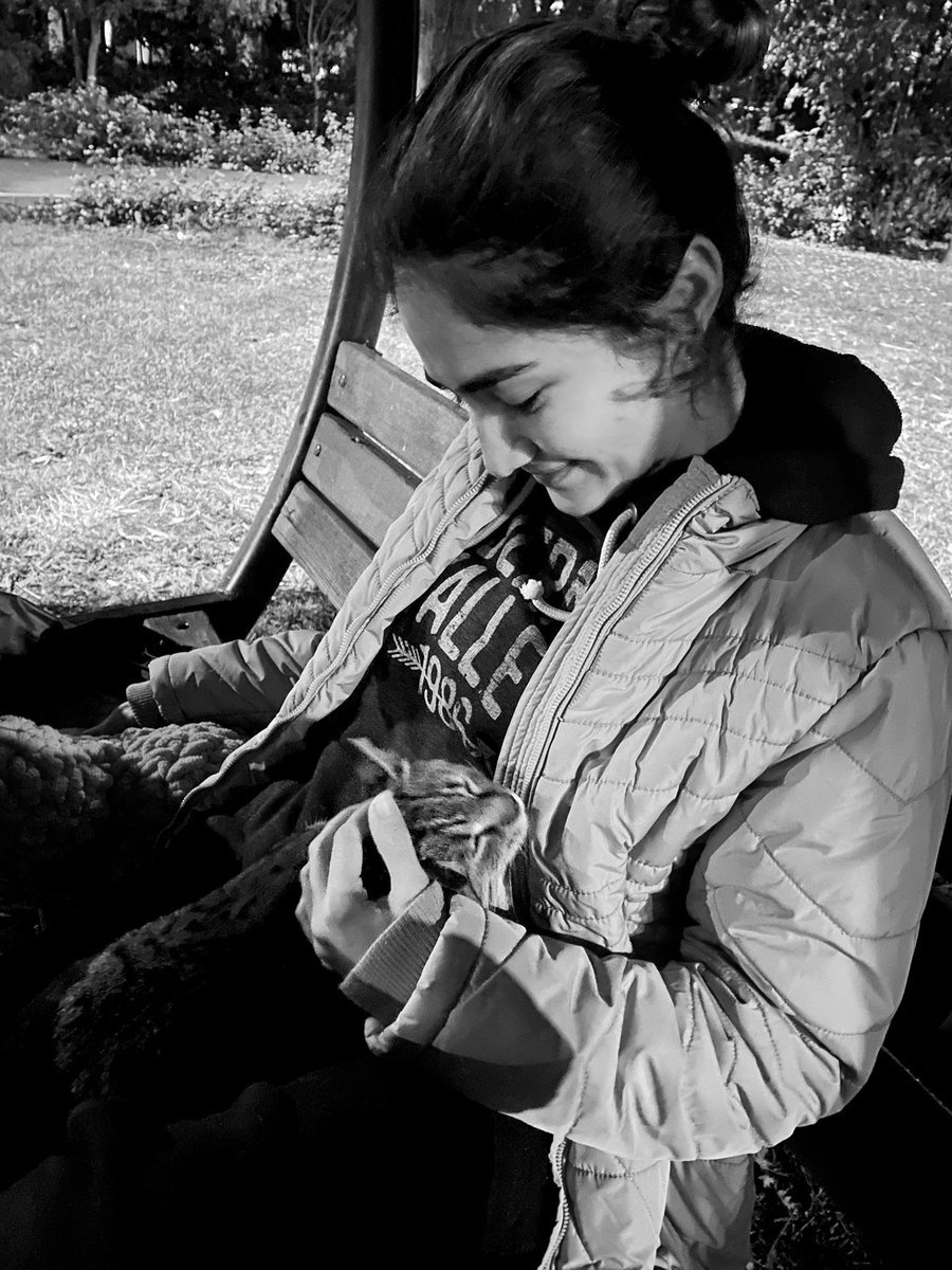 Kaderin başının üzerinde asılı. Yaşadığın sürece mümkün olduğunca iyi ol. Kedileri sev